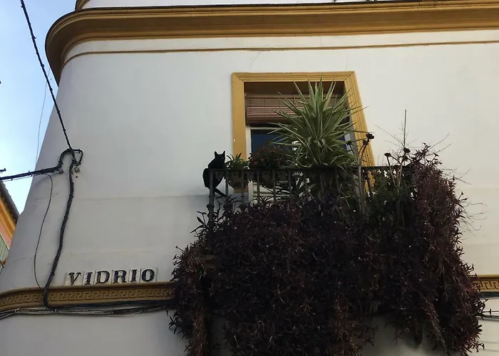 Apartment Vidrio
